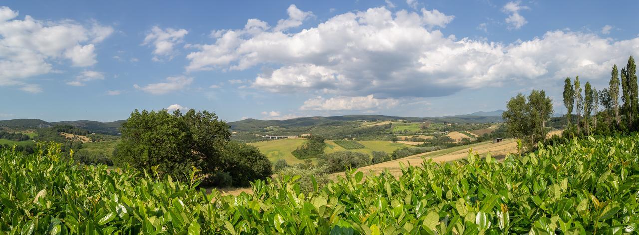 Agriturismo Dei Casali Amelia Bagian luar foto